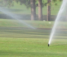 5 Ways Turf Managers Can Reduce Water Usage