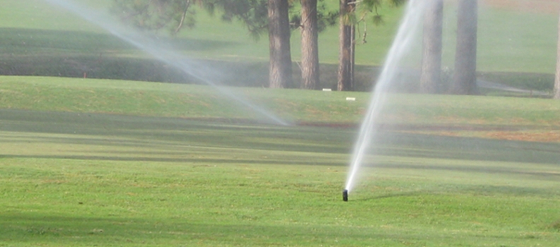 5 Ways Turf Managers Can Reduce Water Usage