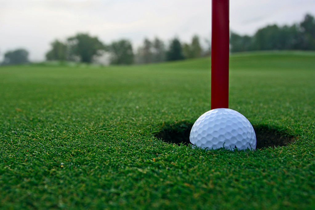 Long term planning for sport facilities and turf surfaces Long term planning for sport facilities and turf surfaces
